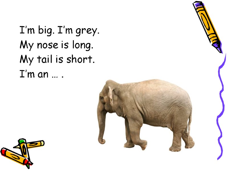 I’m big. I’m grey. My nose is long. My tail is short. I’m an